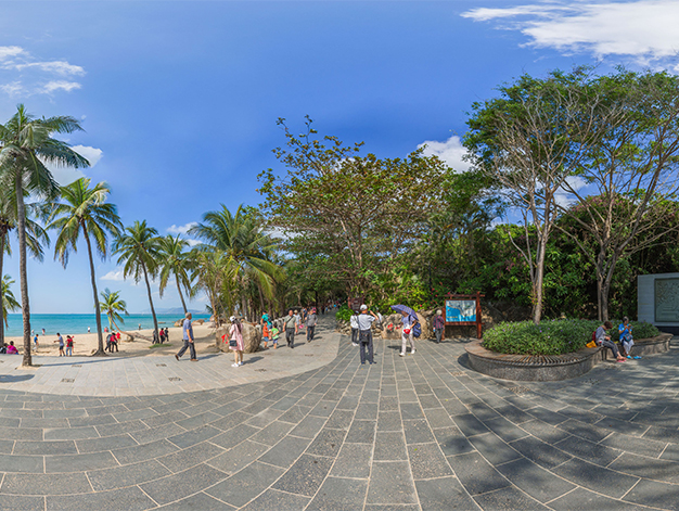 1484895653121401.jpg 1021.jpg